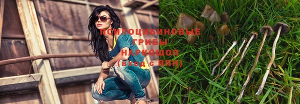 не бодяженный Медногорск