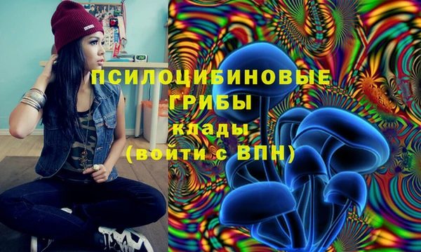 меф VHQ Медвежьегорск