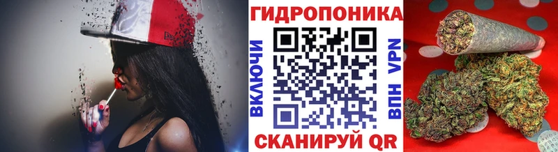 Бошки марихуана конопля  Томари 